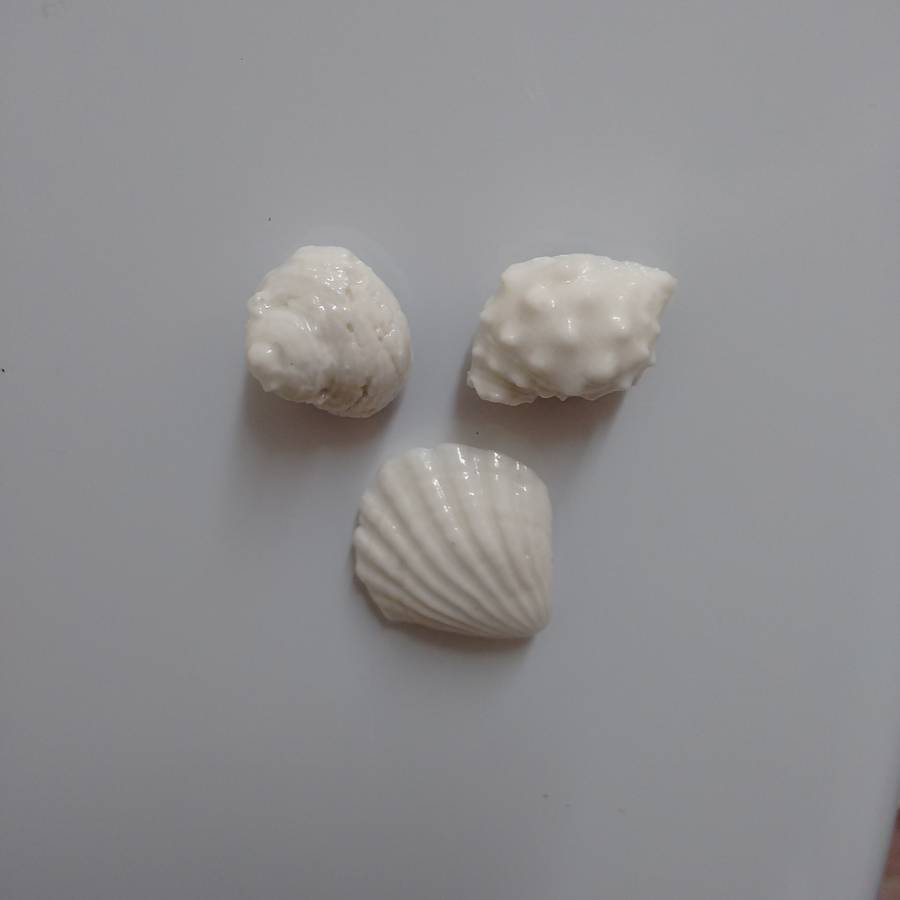 Ceramic Beach Shell Magnets, 1 of 5