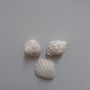 Ceramic Beach Shell Magnets, thumbnail 2 of 5