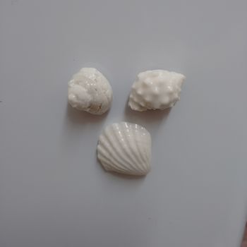 Ceramic Beach Shell Magnets, 3 of 5