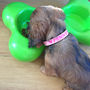 Personalised Colourful Dog Collar, thumbnail 2 of 4