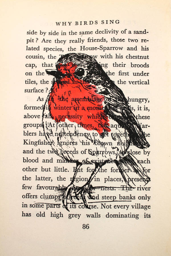 Robin Screen Print On Vintage Book Page By Feltmeupdesigns