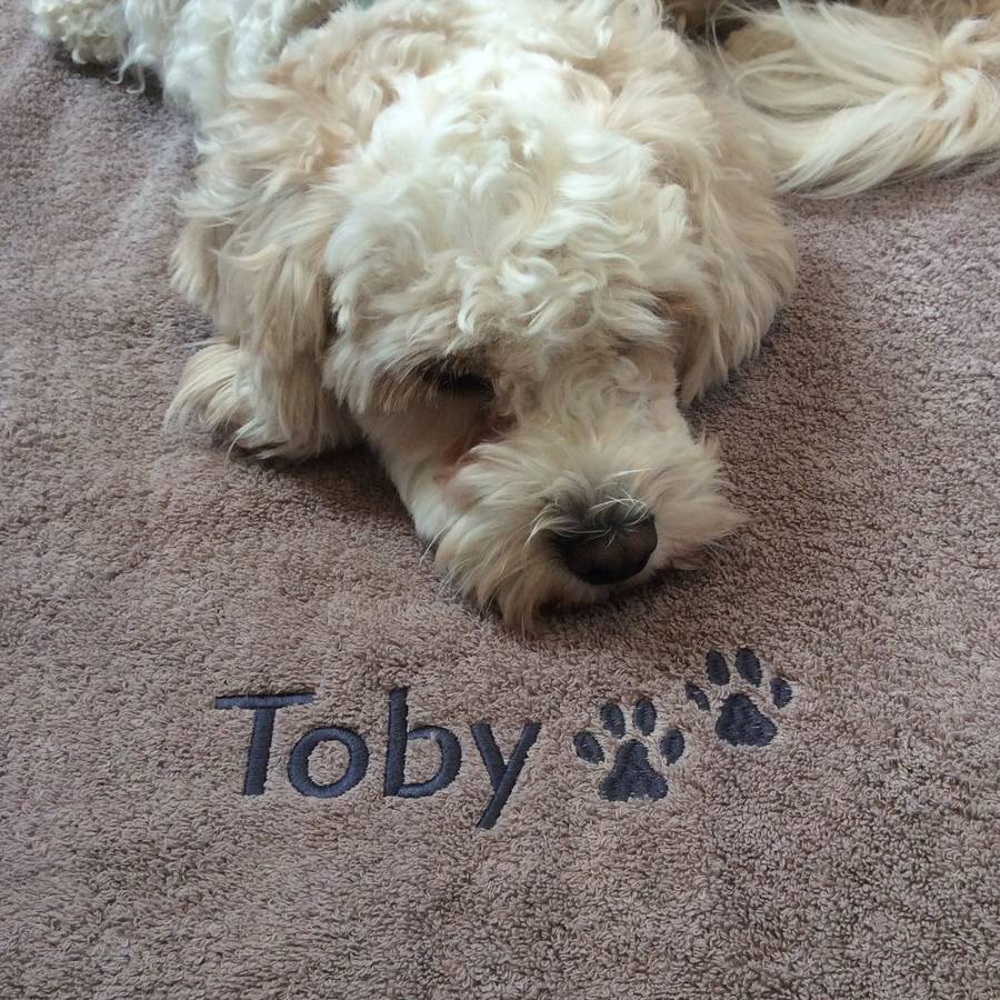 personalised dog towel by big stitch