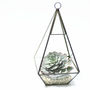 Geometric Pyramid Glass Vase Succulent Terrarium, thumbnail 3 of 6