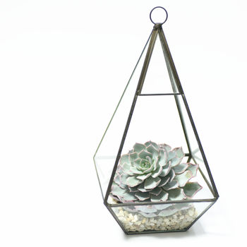 Geometric Pyramid Glass Vase Succulent Terrarium, 3 of 6