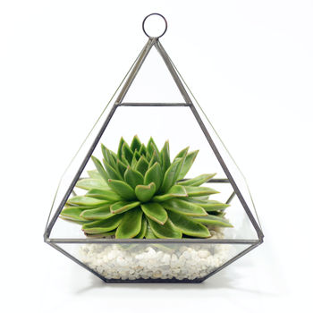 Geometric Pyramid Glass Vase Succulent Terrarium, 5 of 6