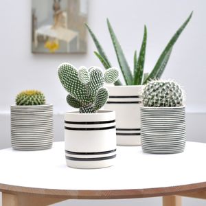 Indoor Decorative Plant Pots Photos Office And Pot Dianxian2007 Com Indoor Decorative Plant Pots Photos Office And Pot Dianxian2007