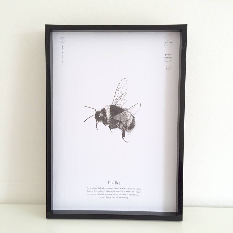 bee print by creature candy | notonthehighstreet.com