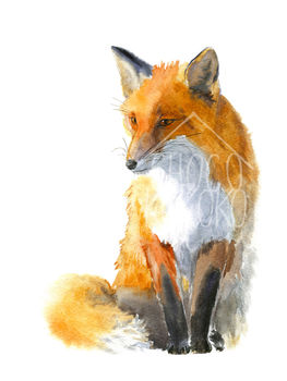 Fox Fine Art Print, 2 of 3
