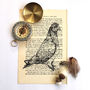 Pigeon Screen Print On Vintage Book Page, thumbnail 2 of 6