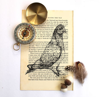 Pigeon Screen Print On Vintage Book Page, 2 of 6