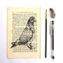 Pigeon Screen Print On Vintage Book Page, thumbnail 3 of 6