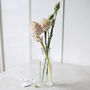 Mini Clear Bottle Vase, thumbnail 2 of 2