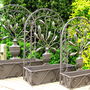 Arch Steel Wall Planter, thumbnail 2 of 4