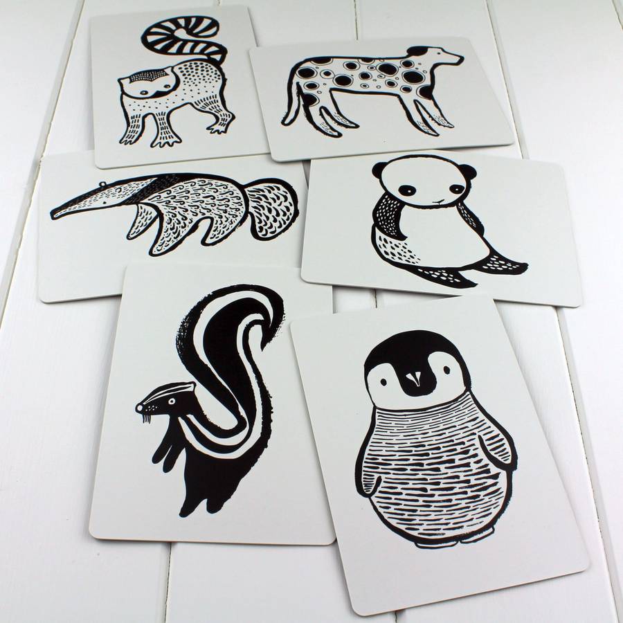 black and white baby flash cards penguin set by nest ...