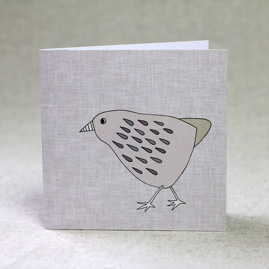 Bird Note Cards Set Of Four By Lil3birdy