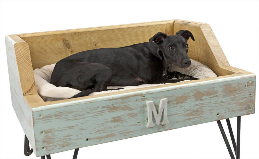 Bespoke Raised Dog Or Pet Bed By Swinging Monkey Furniture Design