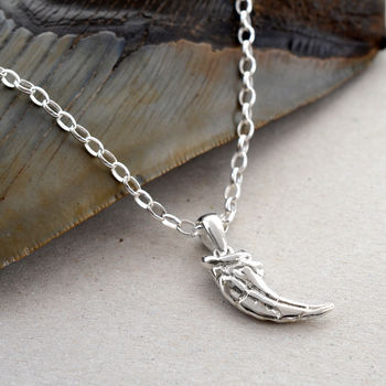 Sterling Silver Raptor Claw Necklace, 4 of 10
