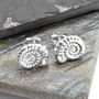 Sterling Silver Ammonite Stud Earrings, thumbnail 2 of 6