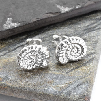 Sterling Silver Ammonite Stud Earrings, 2 of 6