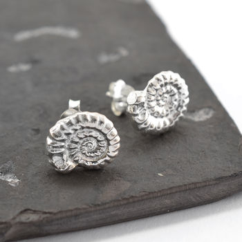 Sterling Silver Ammonite Stud Earrings, 3 of 6