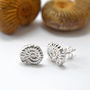Sterling Silver Ammonite Stud Earrings, thumbnail 4 of 6