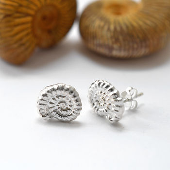 Sterling Silver Ammonite Stud Earrings, 4 of 6