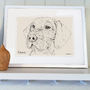 Personalised Pet Line Drawing, thumbnail 4 of 12