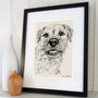 Personalised Pet Line Drawing, thumbnail 2 of 12
