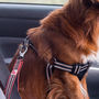 Comfort Traffic Lead And Seat Belt Attachment, thumbnail 4 of 7