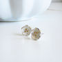 Sterling Silver Buttercup Ear Studs, thumbnail 2 of 3
