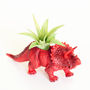 Hand Painted Triceratops Dinosaur Planter With Plant, thumbnail 2 of 8