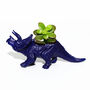 Hand Painted Triceratops Dinosaur Planter With Plant, thumbnail 5 of 8