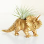 Hand Painted Triceratops Dinosaur Planter With Plant, thumbnail 1 of 8