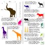 Thirteen Safari Animal Wall Stickers New Sizes, thumbnail 5 of 7