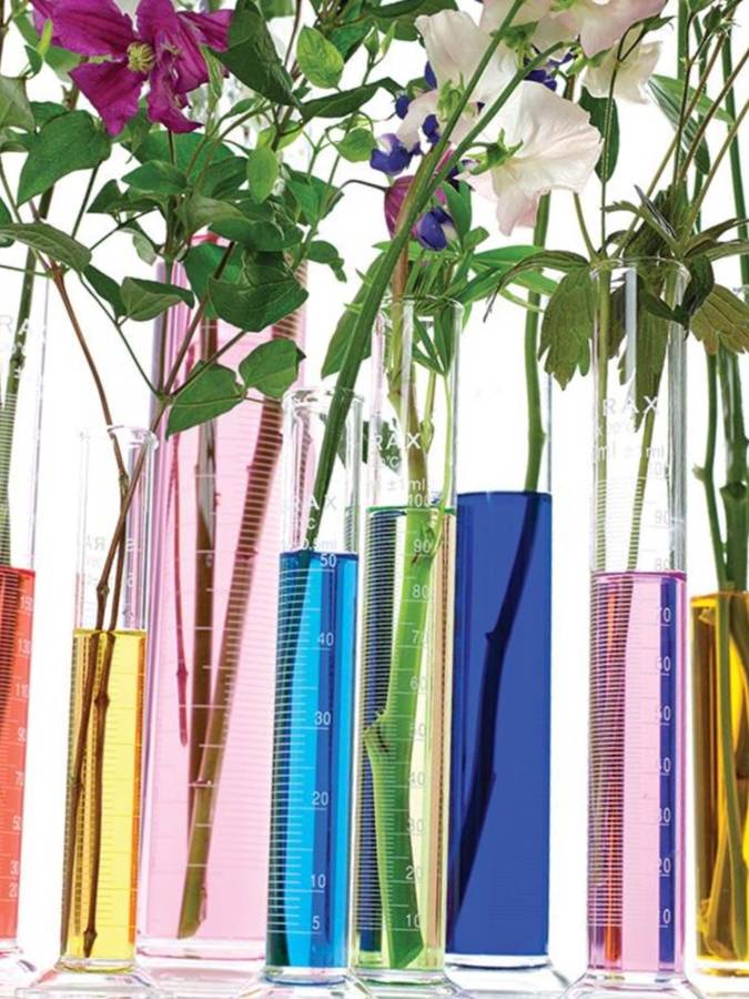 laboratory measuring cylinder vase by london garden trading