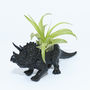 Hand Painted Triceratops Dinosaur Planter With Plant, thumbnail 4 of 8