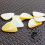 Shell Tones Guitar Plectrums In A Gift Tin, thumbnail 4 of 7