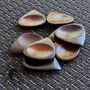Groovy Tones Timber Guitar Plectrums In A Gift Tin, thumbnail 5 of 7