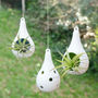 Hanging Ceramic Tealight Holder Air Plant Terrarium, thumbnail 1 of 6