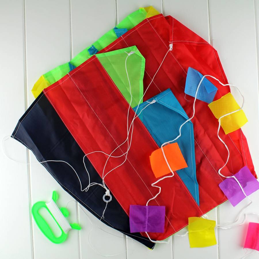 Pocket Portable Kite In Handy Bag By Nest