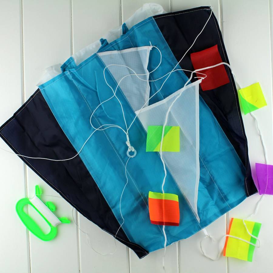 Pocket Portable Kite In Handy Bag By Nest