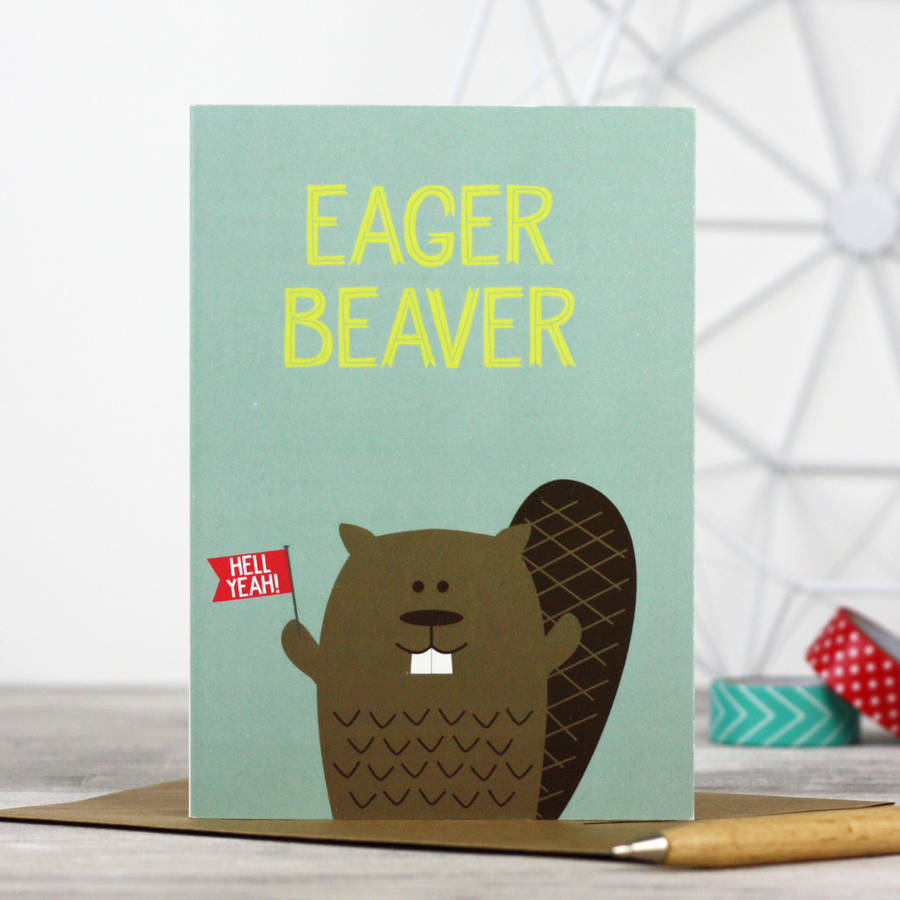 wink design cute animal note card /'Eager Beaver/' wink designs cute cards uk hell yeah Funny Beaver Card birthday card