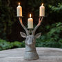 Grand Stag Head Candle Holder, thumbnail 1 of 2