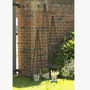 Garden Plant Support Obelisk 4ft Made In Britain, thumbnail 1 of 4