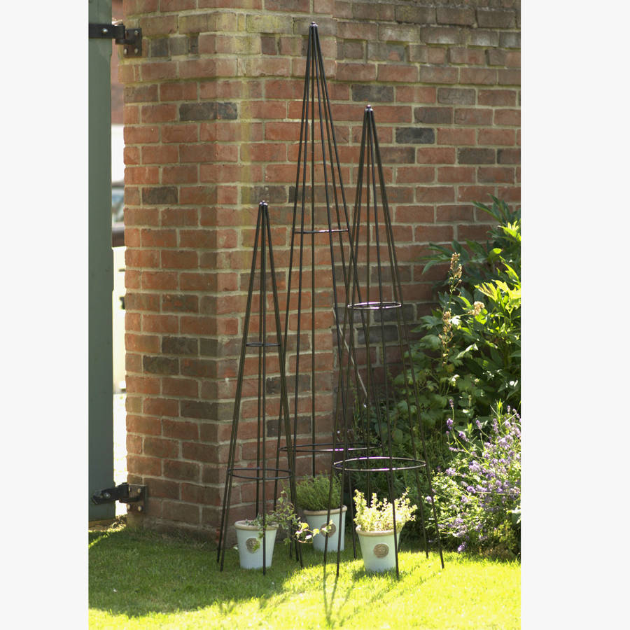 Garden Plant Support Obelisk 6ft Made In Britain By The Orchard Notonthehighstreet Com