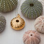 Sea Urchin Necklace, thumbnail 6 of 7