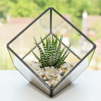 Glass Cube Succulent Terrarium Kit, 2 of 7