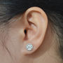 Paw Print Earring Studs In Solid Sterling Silver, thumbnail 4 of 5