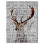 Highlands Stag Canvas Art, thumbnail 3 of 4