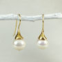 Freshwater Cultured Pearl Drop Earrings, thumbnail 5 of 6
